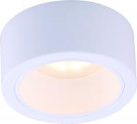 Потолочный светильник Arte Lamp Effetto A5553PL-1WH
