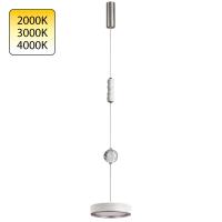 Подвесной светодиодный светильник Odeon Light Riviera 5451/32L