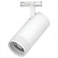 Светильник на штанге Lightstar Canno Pro C4306SS