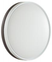 Потолочный светодиодный светильник Sonex COLOR 7668/DLN