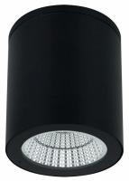 Накладной светильник Arte Lamp TORCULAR A1313PF-1BK