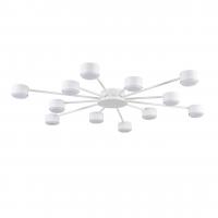 Потолочная люстра Lumion TORINA 8343/12C