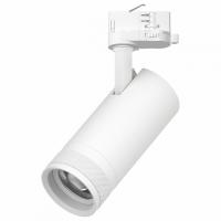 Светильник на штанге Lightstar Canno Pro C4206QT