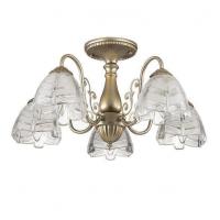 Потолочная люстра Lumion Jelis 3460/5C