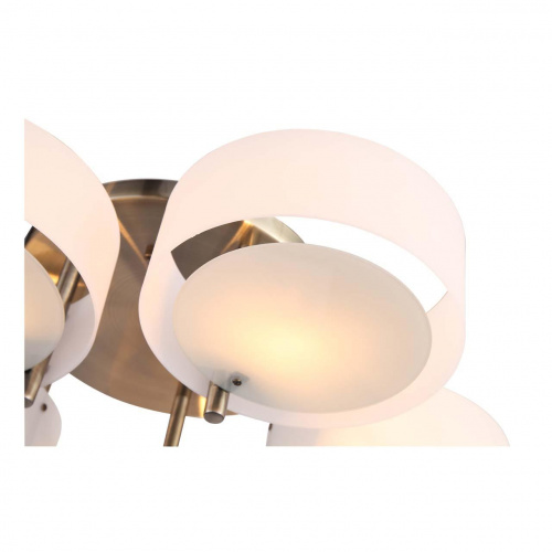 Потолочная люстра ST Luce Foresta SL483.352.05