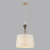 Подвесной светильник Odeon Light Homi 5040/1 Подвесной светильник Odeon Light Homi 5040/1