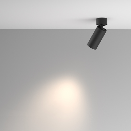 Потолочный светильник Maytoni Artisan C082CL-01-GU10-B