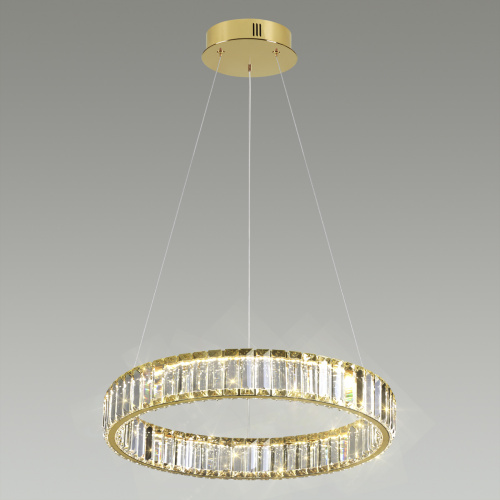 Подвесная светодиодная люстра Odeon Light Vekia 5015/30L