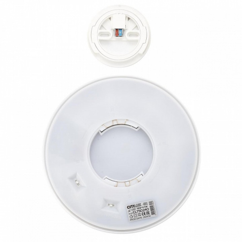 Накладной светильник Citilux Etalon CL750240