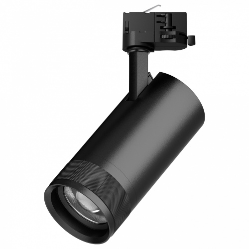 Светильник на штанге Lightstar Canno Pro C4307QT