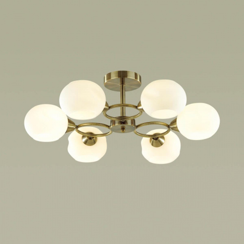 Потолочная люстра Lumion Penelopa 4549/6C