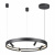 Подвесная светодиодная люстра Odeon Light Fonda 4317/58L