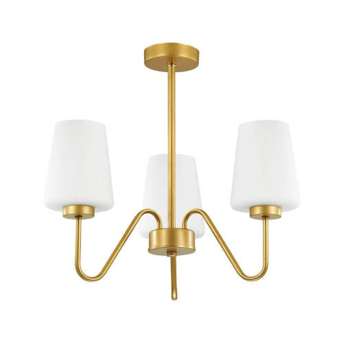 Подвесная люстра Lumion Olivia 3791/3C