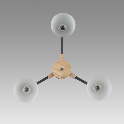 Потолочная люстра Lumion Colange 8096/3C