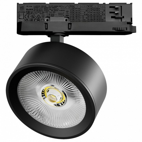 Светильник на штанге Lightstar Alta Pro A5647QT