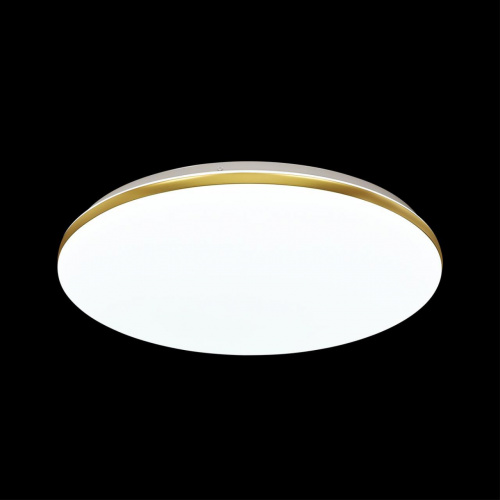 Потолочный светодиодный светильник Sonex Tan Lassa 3043/CL