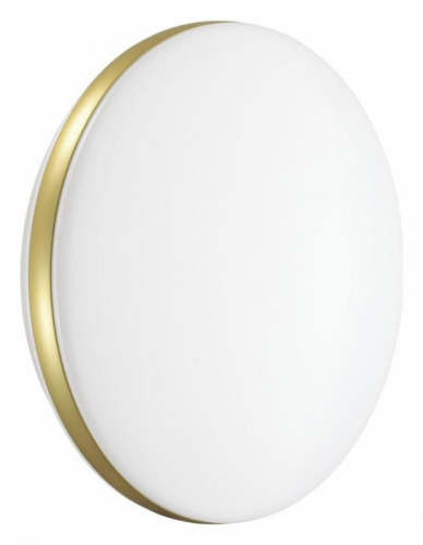 Потолочный светодиодный светильник Sonex Ringo 7626/CL