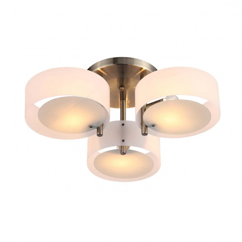 Потолочная люстра ST Luce Foresta SL483.352.03