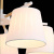 Потолочная люстра ST Luce Passeto SL375.502.05 Потолочная люстра ST Luce Passeto SL375.502.05