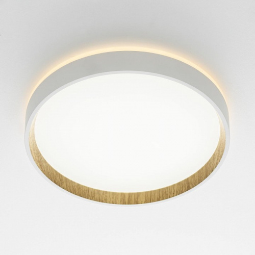Накладной светильник Citilux Etalon CL750240