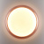 Потолочный светодиодный светильник Sonex PORTMAN 7778/ELN Потолочный светодиодный светильник Sonex PORTMAN 7778/ELN