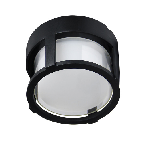 Накладной светильник Arte Lamp Ulysses A6206PF-1BK