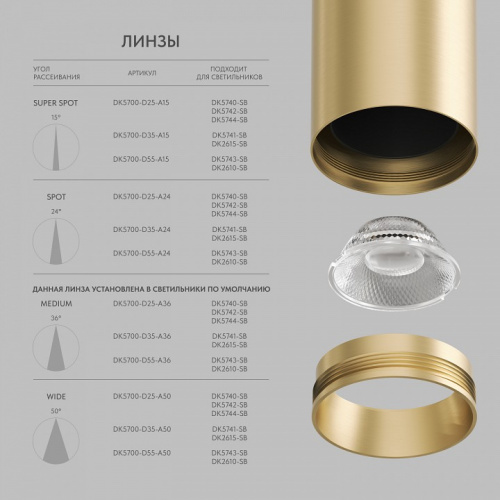 Светильник на штанге Denkirs SHINE SPOT DK5741-SB