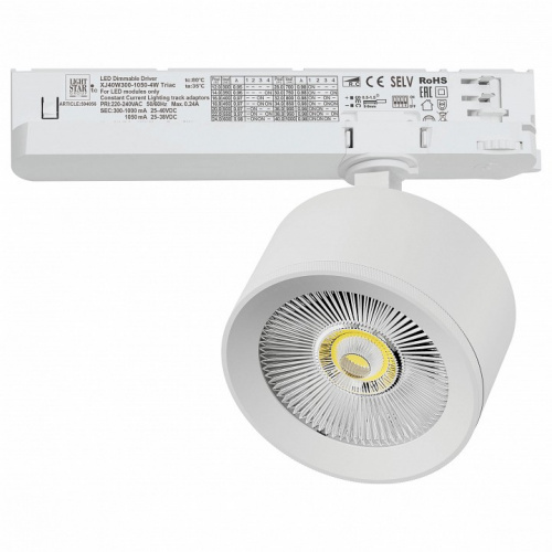 Светильник на штанге Lightstar Alta Pro A5536TRIAC