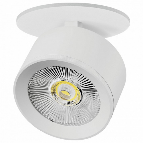 Спот Lightstar Alta Pro A5536RS