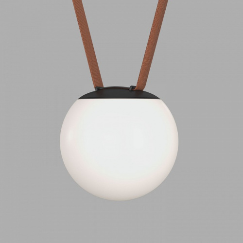 Накладной светильник Denkirs BELTY ORB DK5550-BK