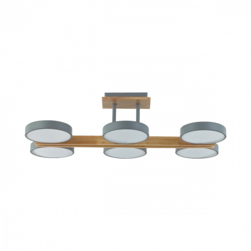 Потолочная светодиодная люстра Lumion Plato 8031/108CL