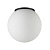 Уличный потолочный светильник IP54 Odeon Light Viva 7124/1C
