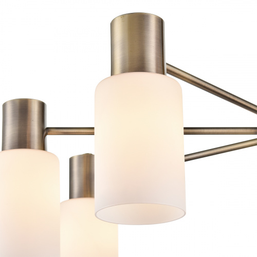 Потолочная люстра Lumion Mave 8100/8C