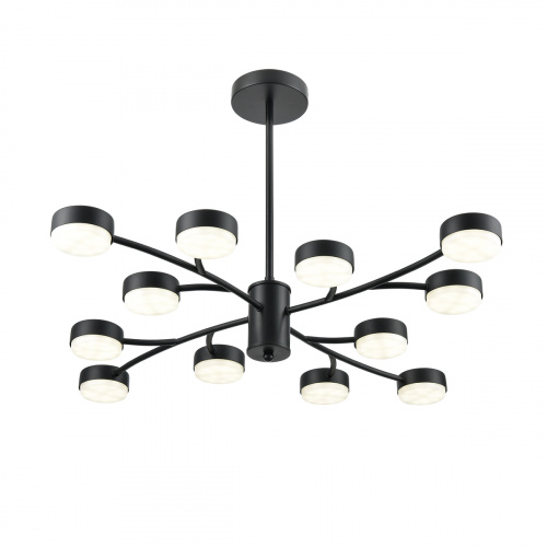 Подвесная люстра Lumion Torina 8117/12