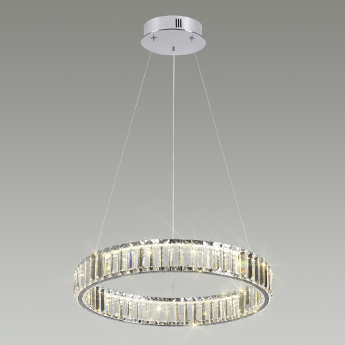 Подвесная светодиодная люстра Odeon Light Vekia 4930/30L