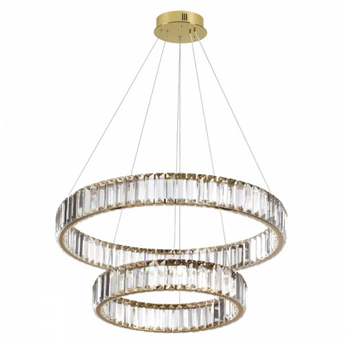 Подвесная светодиодная люстра Odeon Light Vekia 5015/60L