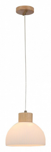 Подвесной светильник Arte Lamp Caprice A4184SP-1BR