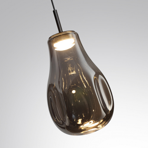 Подвесной светодиодный светильник Odeon Light Nave 5098/4LC