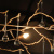 Бра Loft IT Bijout 10067/6W GB Бра Loft IT Bijout 10067/6W GB