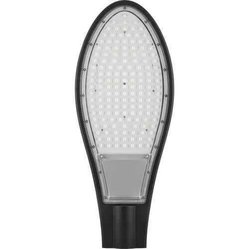 Уличный светодиодный консольный светильник Feron SP2926 32218