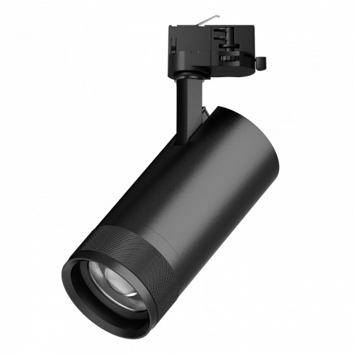 Светильник на штанге Lightstar Canno Pro C4307QT