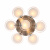 Потолочная люстра ST Luce Foresta SL483.352.07 Потолочная люстра ST Luce Foresta SL483.352.07
