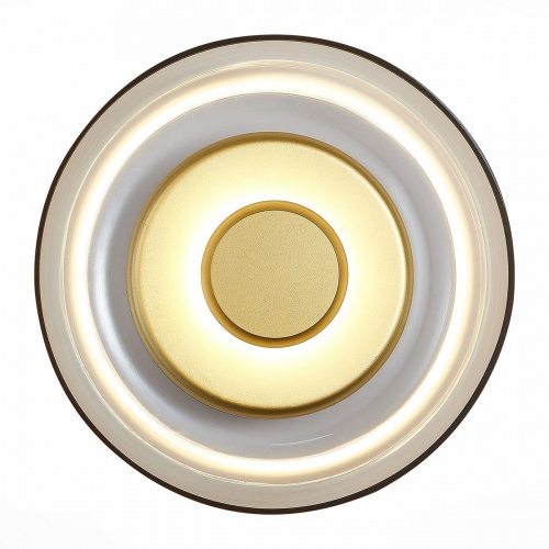 Настенный светодиодный светильник ST Luce Lazio SL6002.201.01