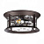 Уличный потолочный светильник Odeon Light Mavret 4961/2C