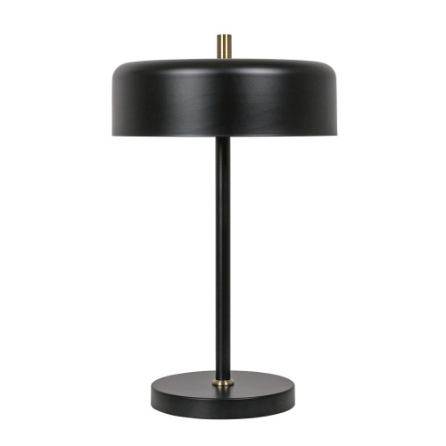 Настольная лампа декоративная Arte Lamp Skat A7052LT-2BK