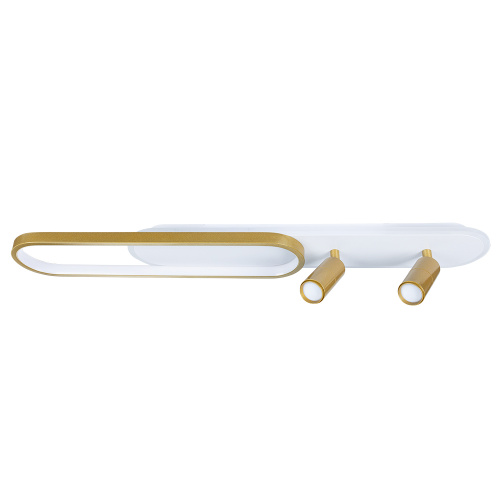 Потолочный светодиодный светильник Arte Lamp Lucas A2600PL-32GO