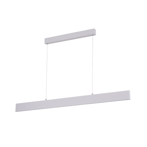 Подвесной светодиодный светильник Arte Lamp A2505SP-2WH