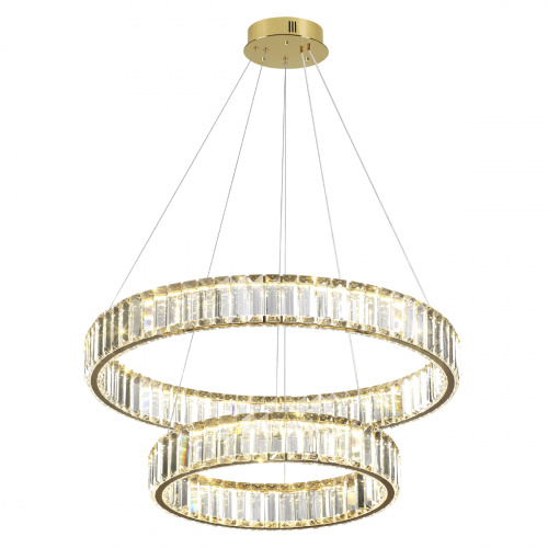 Подвесная светодиодная люстра Odeon Light Vekia 5015/60L