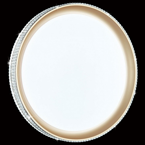 Потолочный светодиодный светильник Sonex Pale Shiny 3054/DL