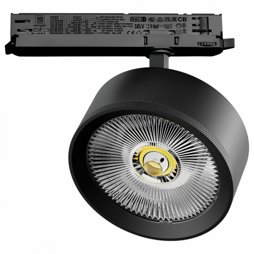 Светильник на штанге Lightstar Alta Pro A5747DALI